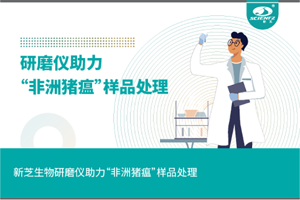 新芝生物组织研磨仪助力“非洲猪瘟”样品处理