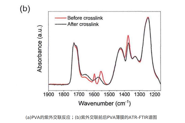 紫外交联前后PVA薄膜的ATE-FTIR谱图