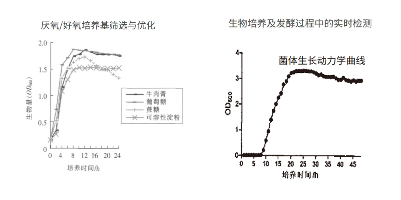 过程安全，结果精准