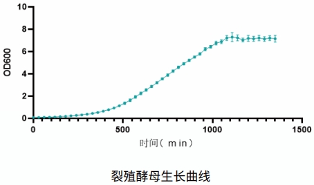 兼性厌氧微生物振摇培养