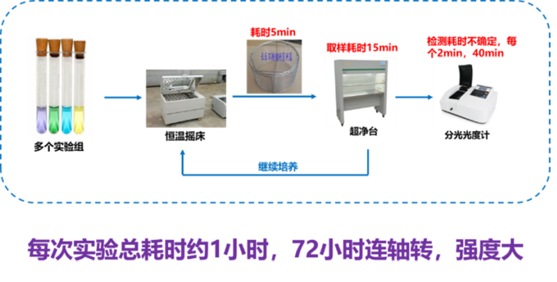 传统实验