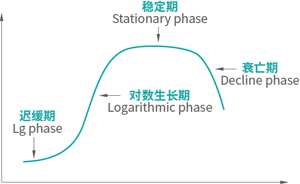 生长规律