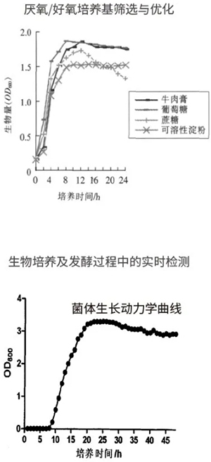 过程安全，结果精准